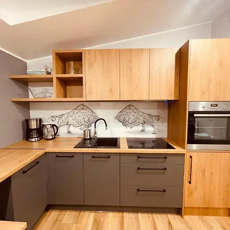 Apartamenty Ktw Kosciuszki 41 - Sky & Design Katovice Exteriér fotografie
